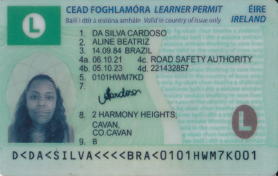 BUY IRISH DRIVING LICENCE