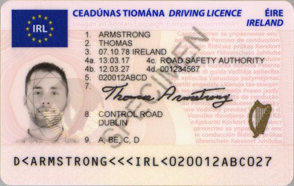 fake irish driving licence