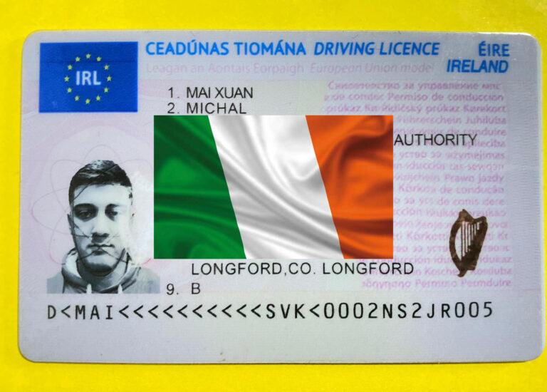 irish driving licence